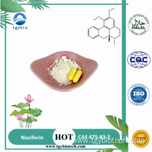 Weight Loss Product Nuciferin Powder Lotus Leaf Extract